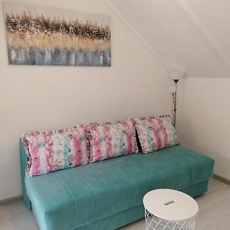 Apartman Andrijana 1 ソコバニャ エクステリア 写真
